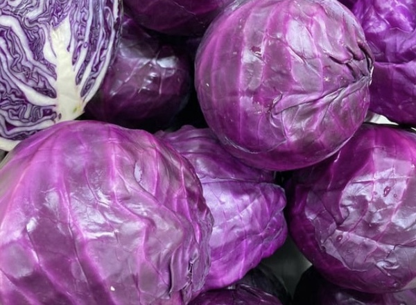 Cabbage - Red