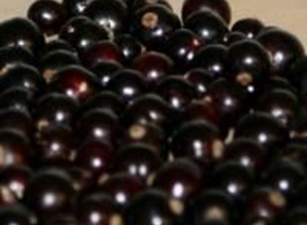Blackcurrants - Punnet 200g