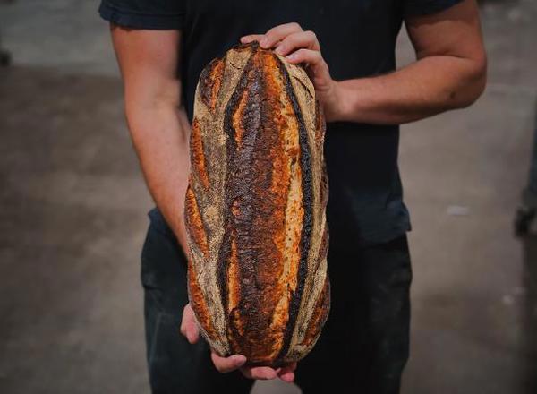 Bread: Light Rye & Caraway Sourdough: Large- BF