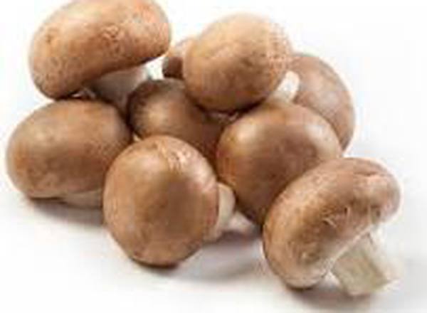 Mushroom, Chestnut
