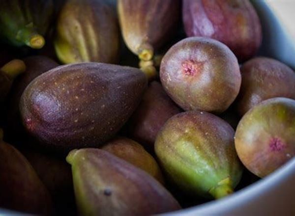 Figs