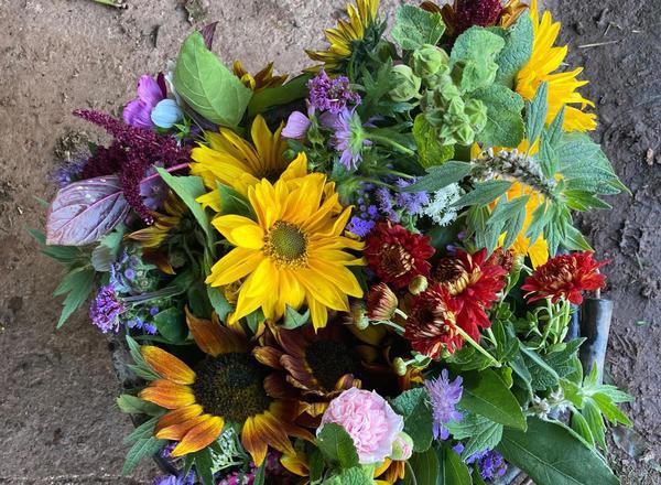 Seasonal cut flowers