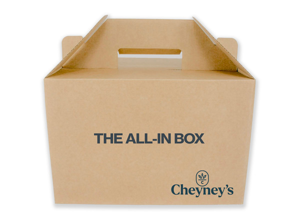 RUBY REDS: THE ALL-IN BOX