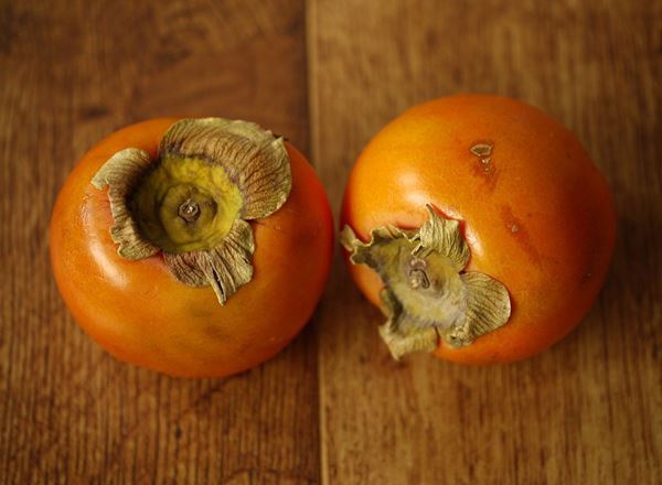 Persimmon