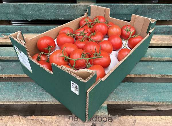Organic Tomato Vine