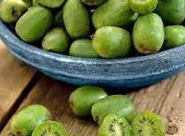 Kiwiberries - Organic - 1 punnet