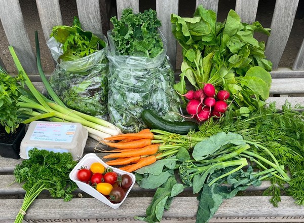Large Veg Bag