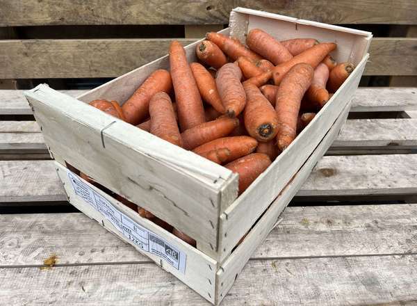 Organic Carrots