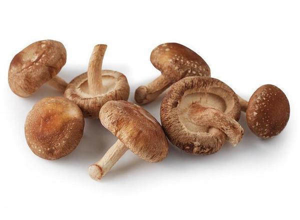 Mushroom (Shitake)- Organic