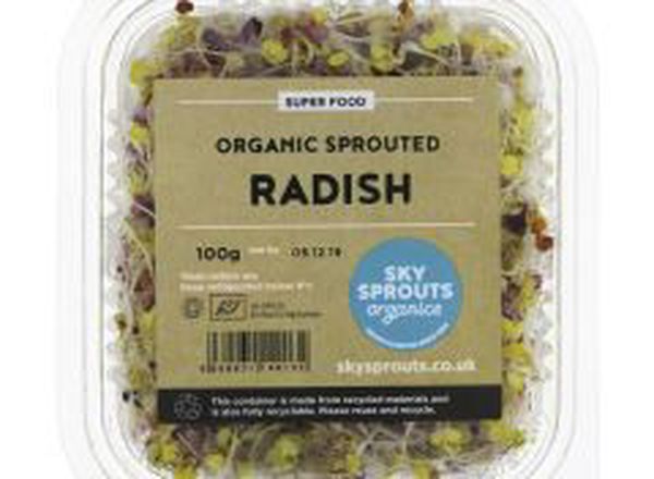 Sky Radish Sprouts