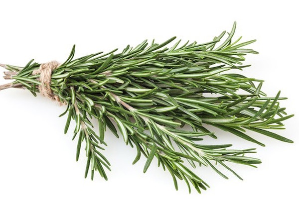 Rosemary - Fresh Leaf