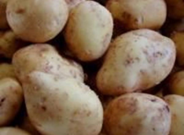 Potatoes - New - 500g