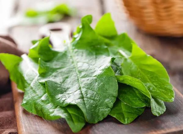 Sorrel - Fresh Leaf
