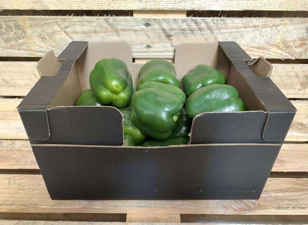 Organic Pepper Green