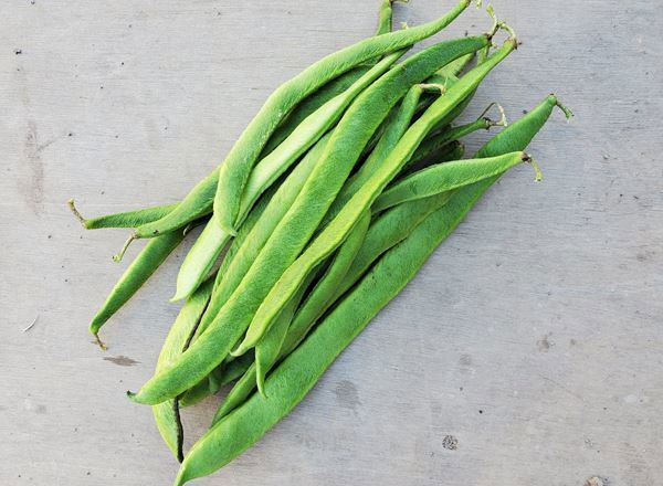 Beans - runner