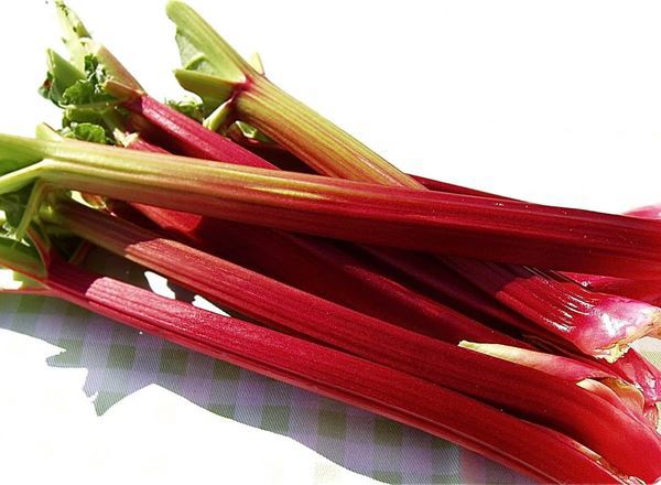Rhubarb