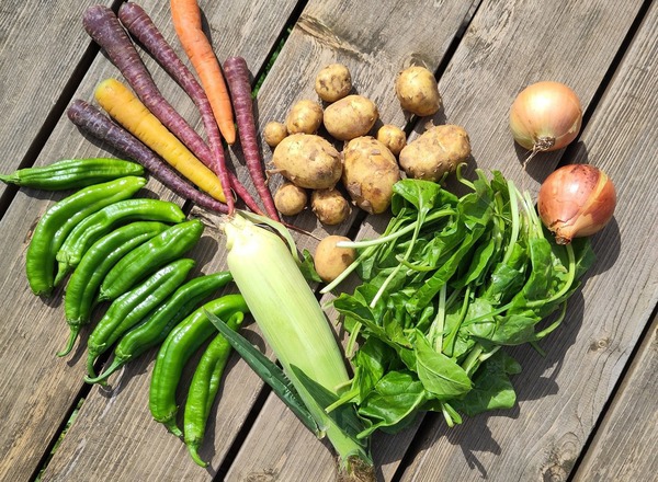 Veg Box - Small