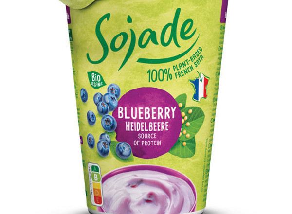 Soya Yogurt - Blueberry Organic