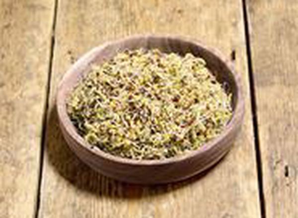 Sprouted Seeds - British Organic Broccoli