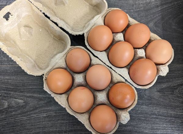 Dozen Organic Free Range Eggs