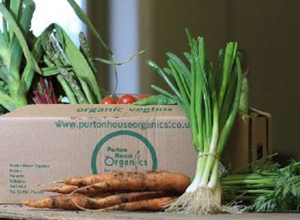 Organic Fruit and Vegetable Boxes