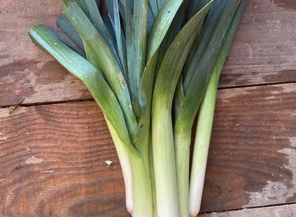 Leeks