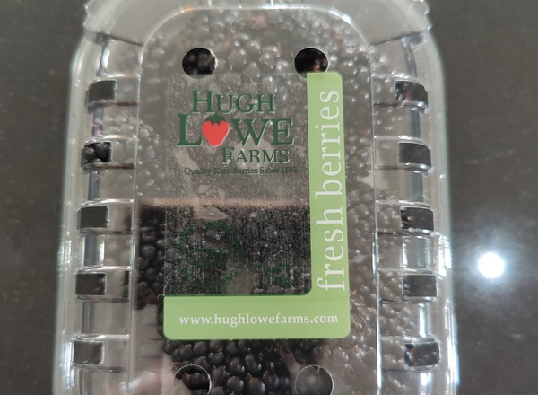 Blackberries