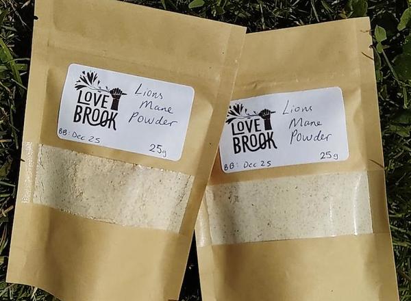 Lionsmane Mushroom Powder