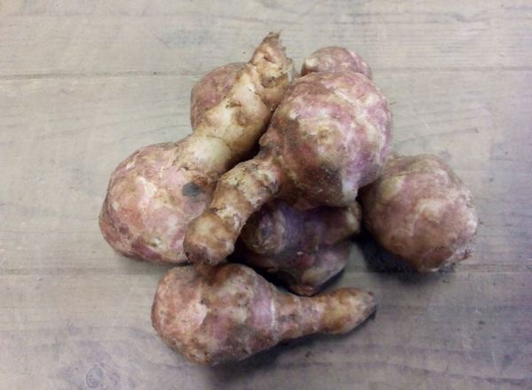 Jerusalem Artichokes