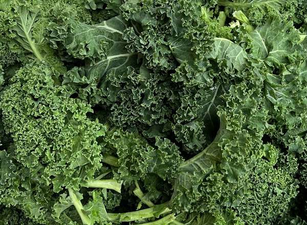 Organic Kale