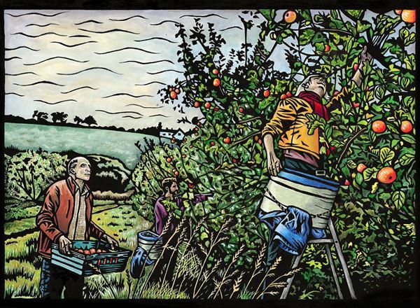 Apples In The Autumn Sun Card