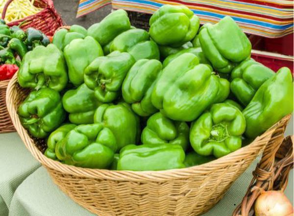 Green Pepper