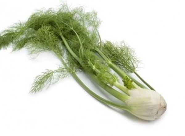 Extra Fennel Organic