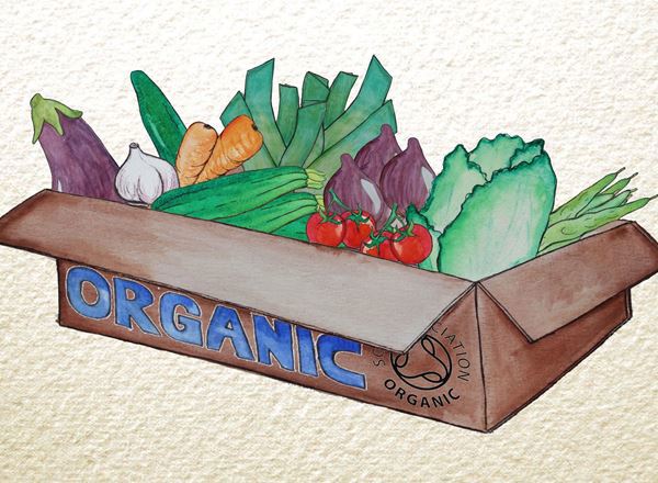 Organic Veg Boxes