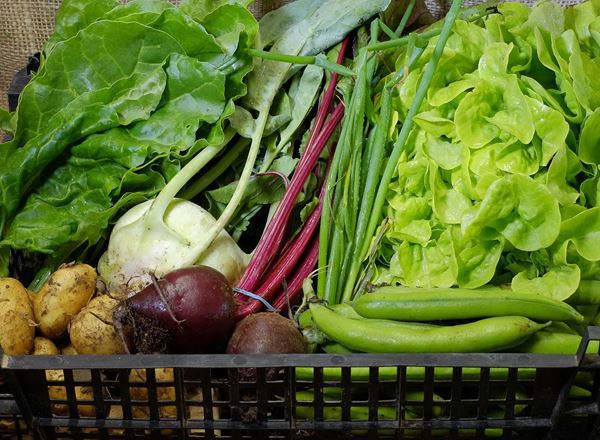 £13.25 Vegetable Box