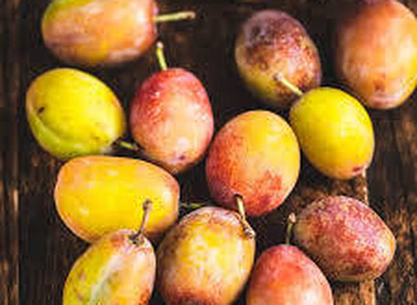 Plums - Organic ESP