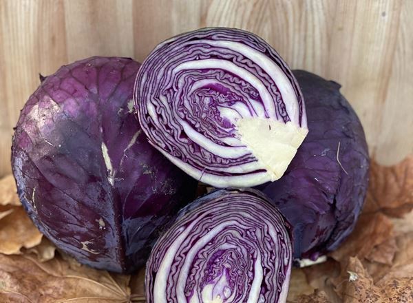 Cabbage, Red -  approx 1kg - Organic