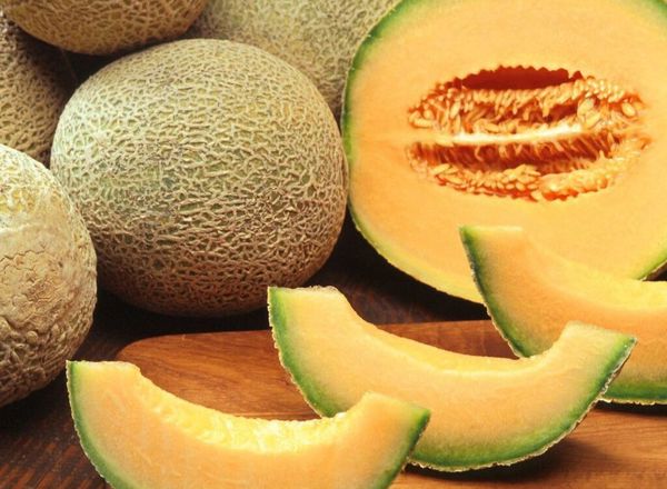 Cantaloupe Melon (Each) IT