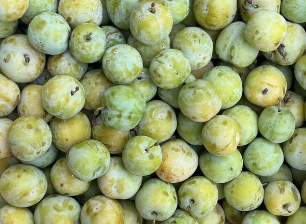 Organic Greengage (600g)