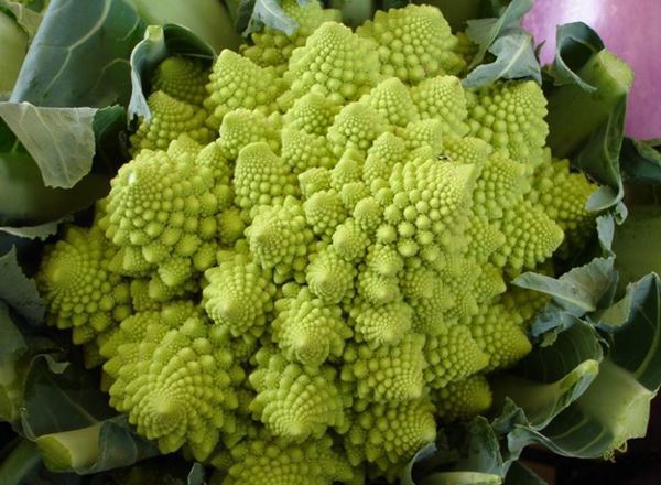 Cauliflower - Romanesco (UK)