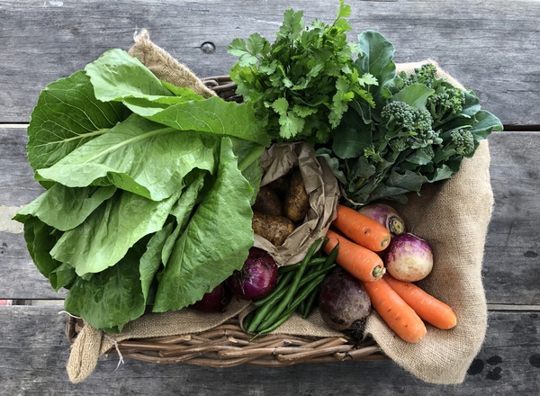 Small Vegetable Box