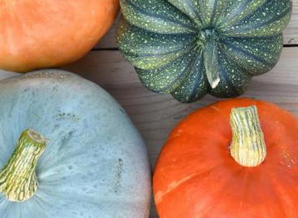 Squash