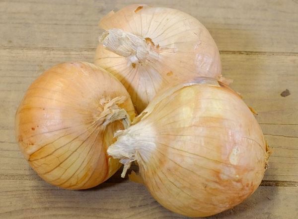 Onions- White
