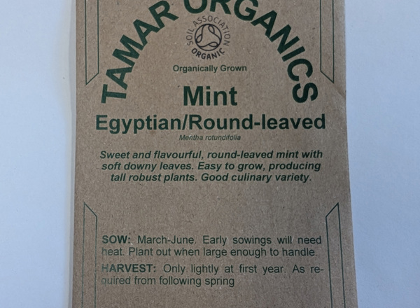 (Seeds) Mint - Egyptian/Round-Leaved
