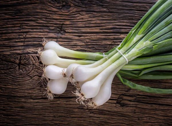 Spring Onion, bunch