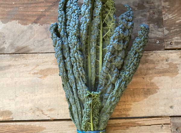 Kale - Cavolo Nero