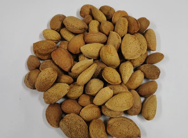 Nuts - Almonds in Shells Organic ESP