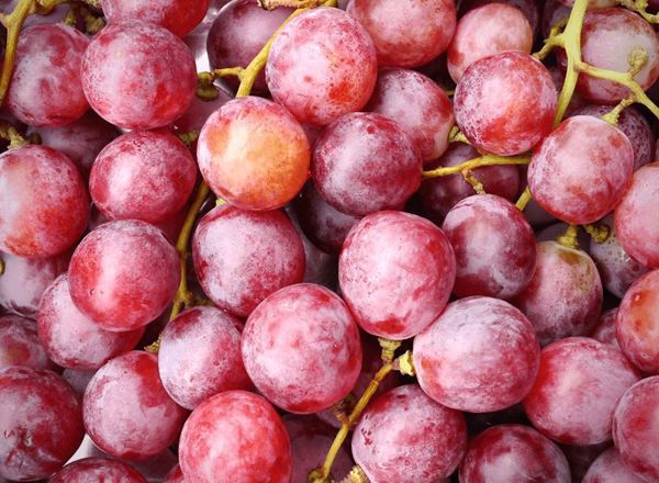 Grape (Spain)