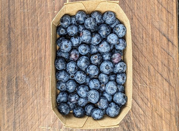 Organic Blueberries