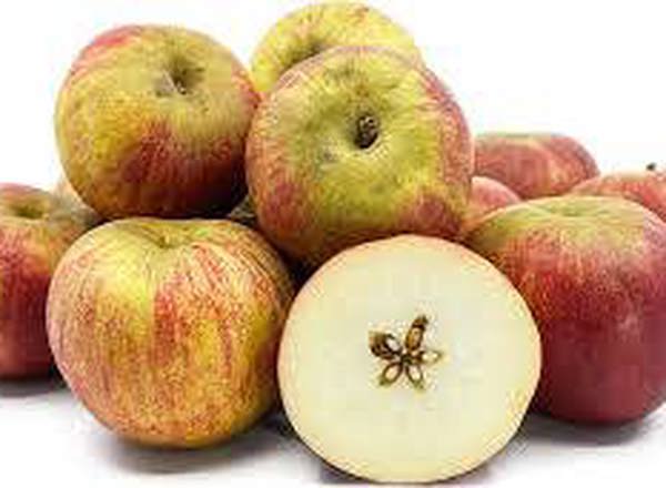 Apples - British Organic Red Windsor